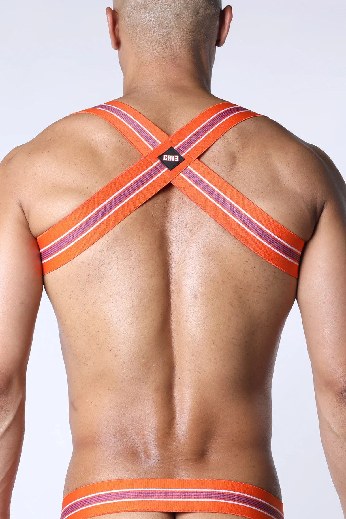 Tight End Elastic Harness - Image 3